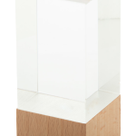 Polofi trophy