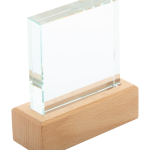 Rectofi trophy